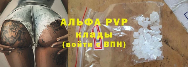 мет Алексин