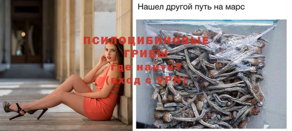 дмт Абдулино
