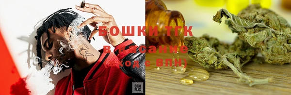мет Алексин