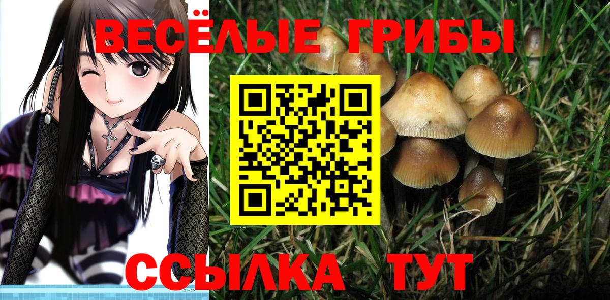 Псилоцибиновые грибы ЛСД Лиски
